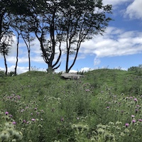 Counselling images: ancient site by Angie Denman